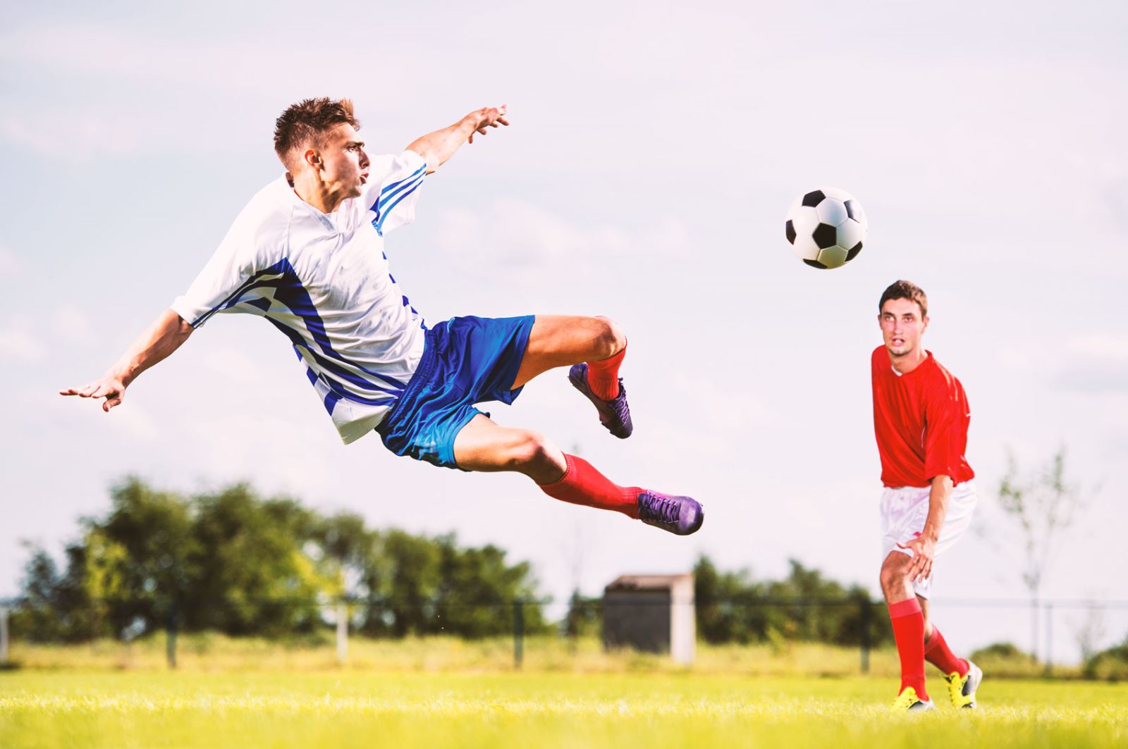 这样的协议 这样的协议